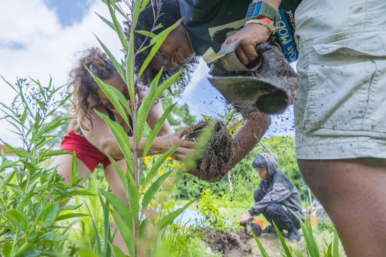 The Power of Fresh Air: A Summer of Stewardship