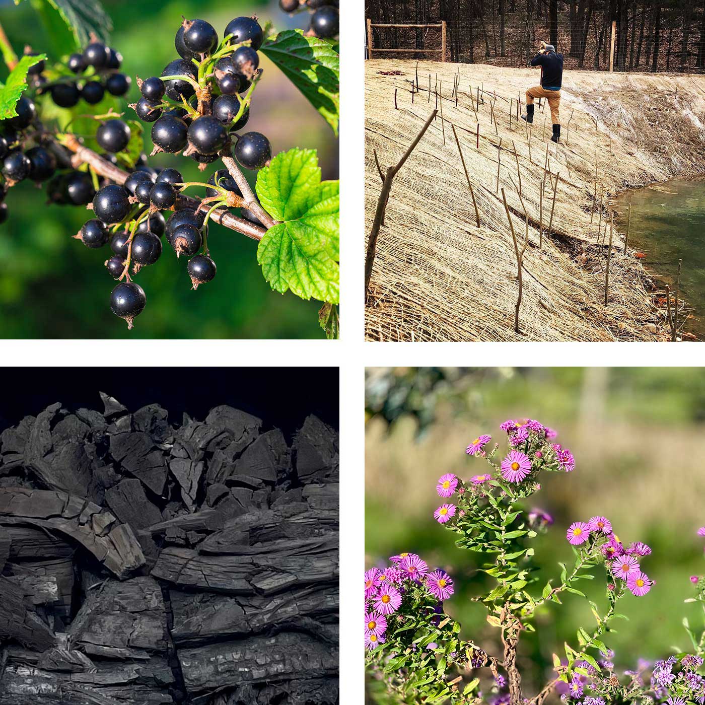 APF-About-In-Persuit-of-Mission4