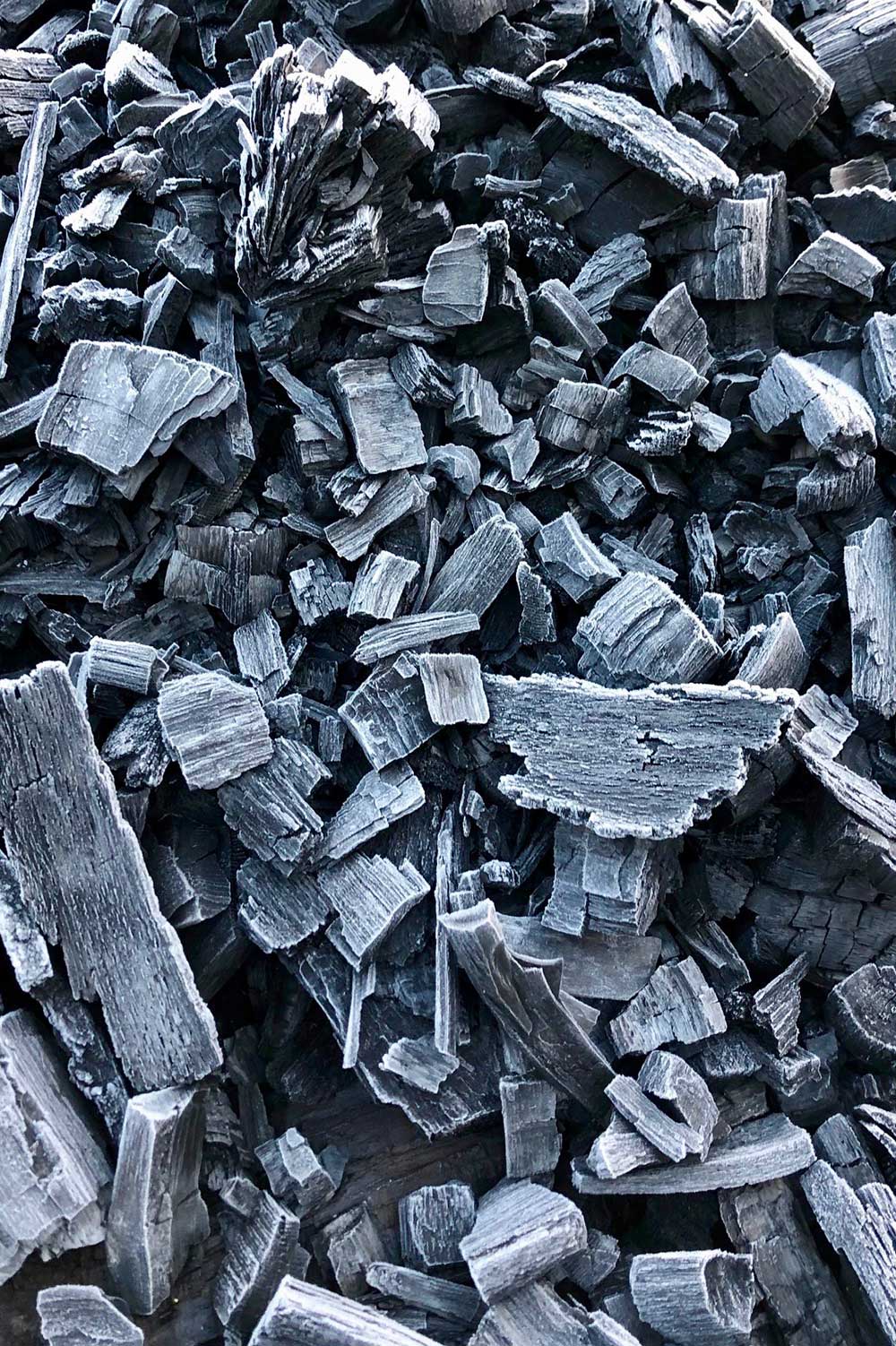 APF-What-We-Do-Biochar-Research-Development2