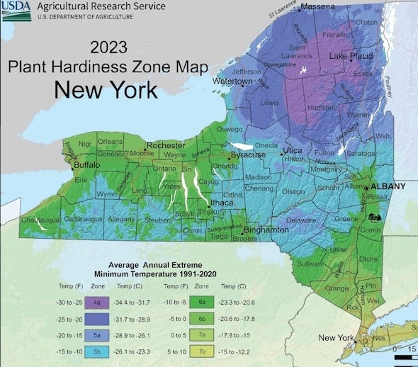 Hardiness-NY 2023