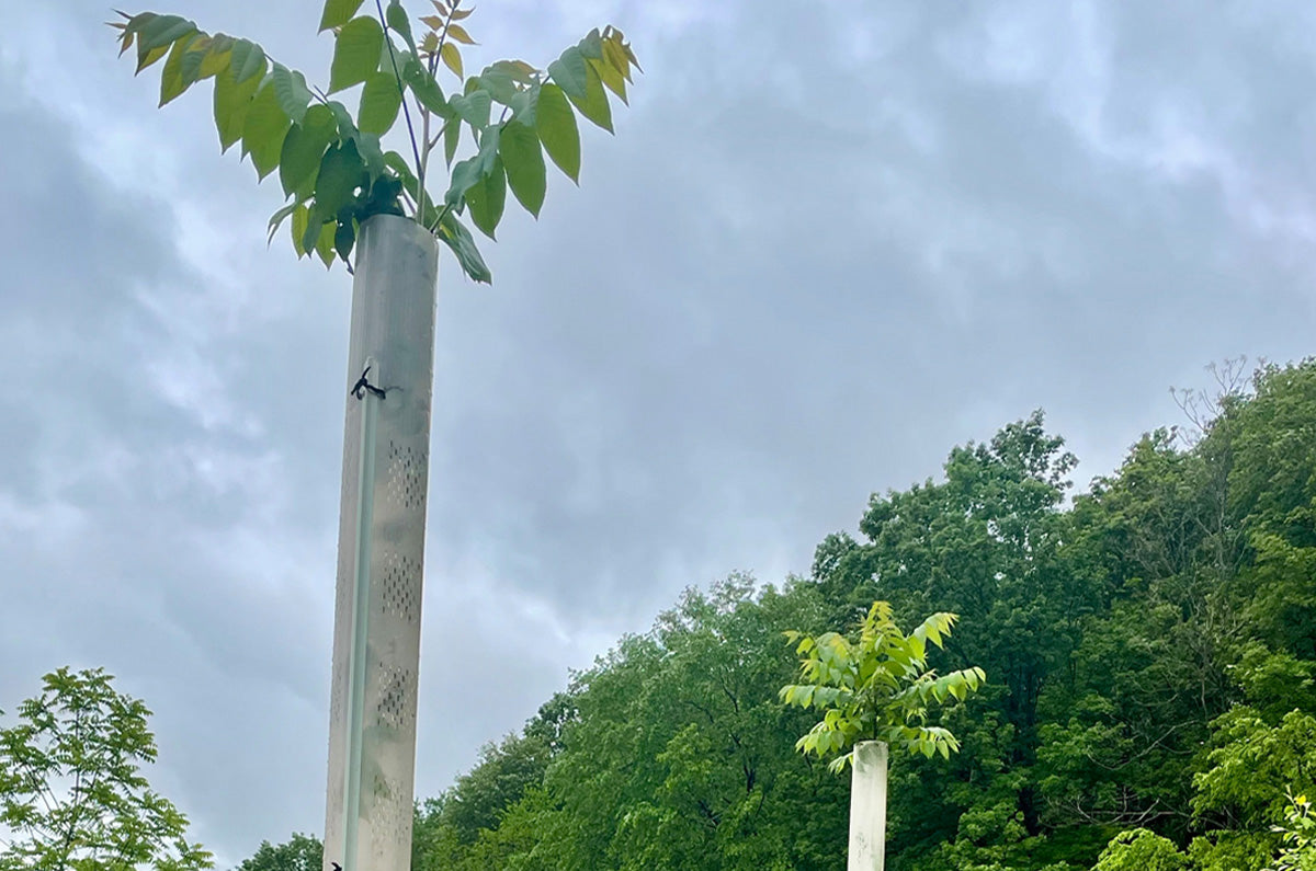 Plantra SunFlex Greenhuse Grow Tube System